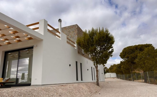 New Build - Villa -
Pinoso - Casas Pastor