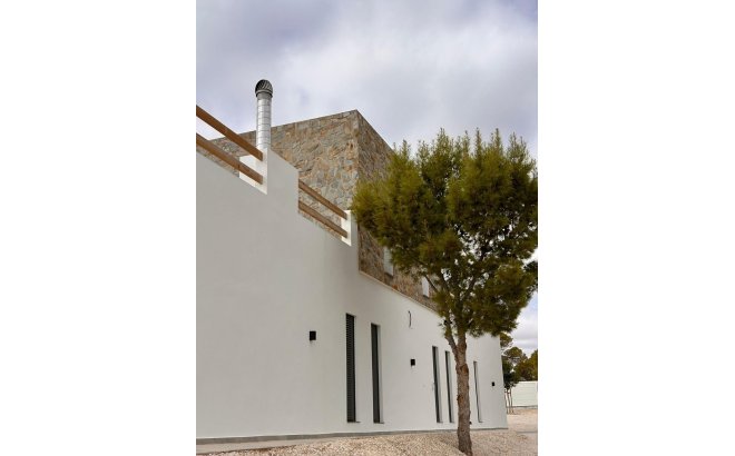 New Build - Villa -
Pinoso - Casas Pastor