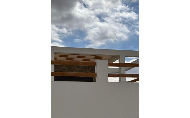 New Build - Villa -
Pinoso - Casas Pastor
