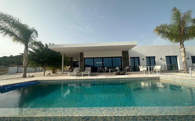 New Build - Villa -
Pinoso - Casas Pastor