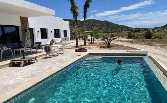 New Build - Villa -
Pinoso - Casas Pastor