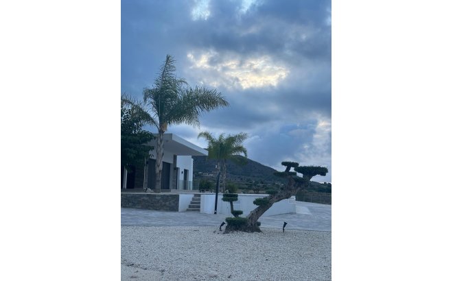 New Build - Villa -
Pinoso - Casas Pastor