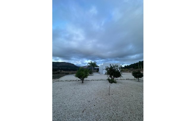 New Build - Villa -
Pinoso - Casas Pastor