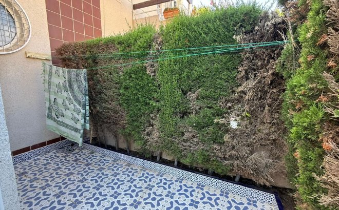 Resale - Bungalow -
Torrevieja - Punta Prima