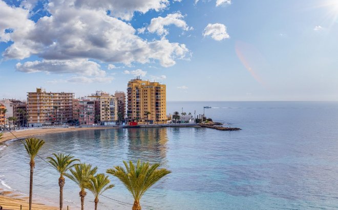 Resale - Apartment -
Torrevieja - Habaneras