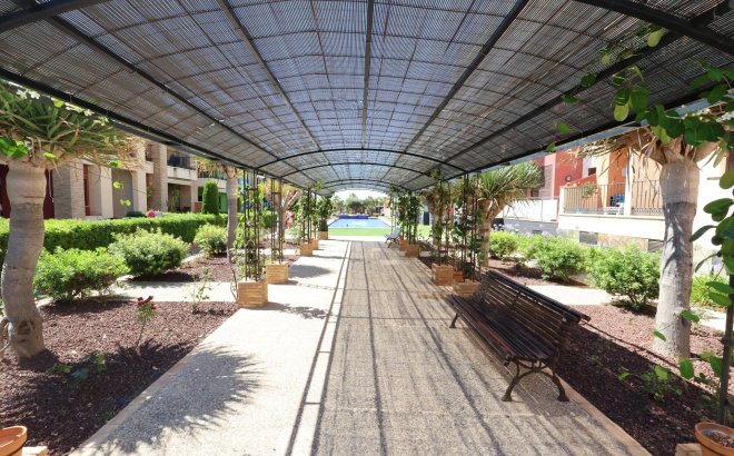 Resale - Apartment -
Orihuela Costa - Costa Blanca