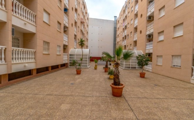 Resale - Apartment -
Torrevieja - Costa Blanca