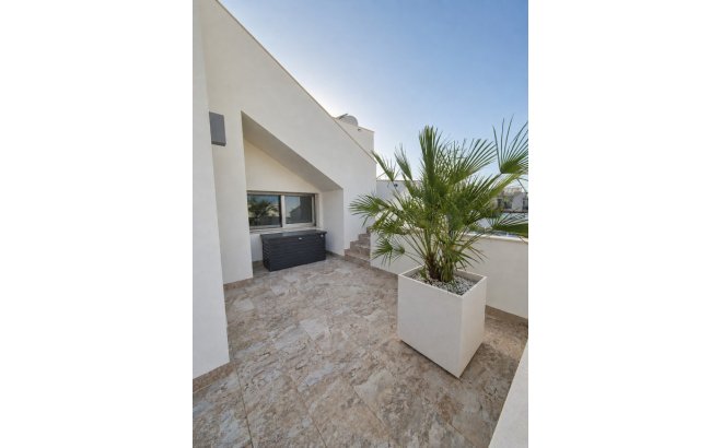 Resale - Villa -
San Miguel de Salinas - Inland