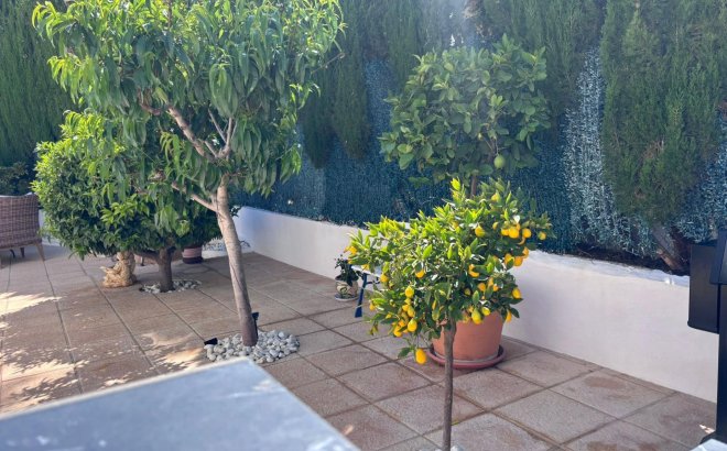 Resale - Semi Detached -
Torrevieja - Los Balcones