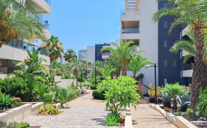 Resale - Apartment -
Orihuela Costa - Los Dolses