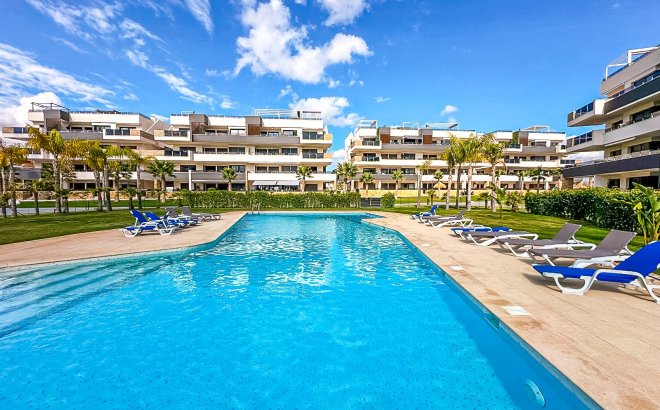 Revente - Appartement -
Playa Flamenca - Costa Blanca
