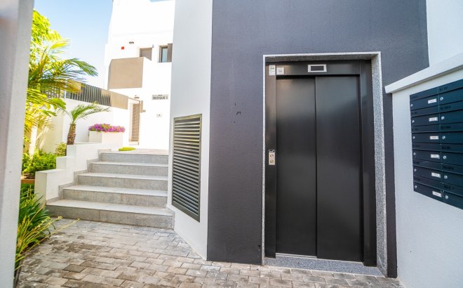 Resale - Apartment -
Torrevieja - Costa Blanca