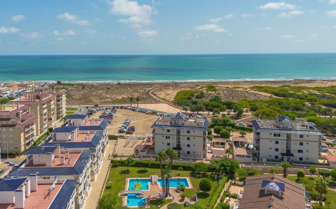 Resale - Apartment -
La Mata - Costa Blanca