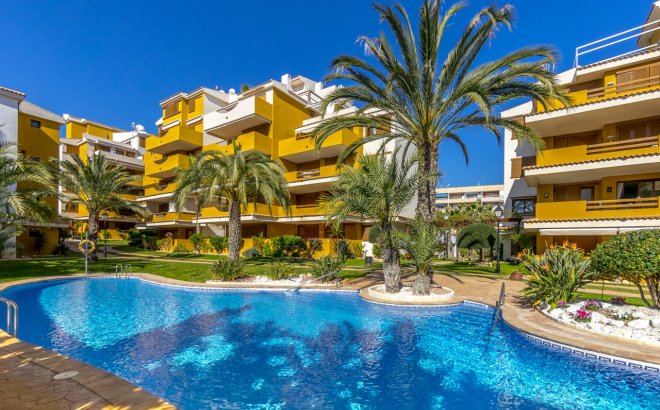 Resale - Apartment -
Torrevieja - Costa Blanca