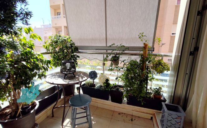 Resale - Apartment -
Torrevieja - Costa Blanca