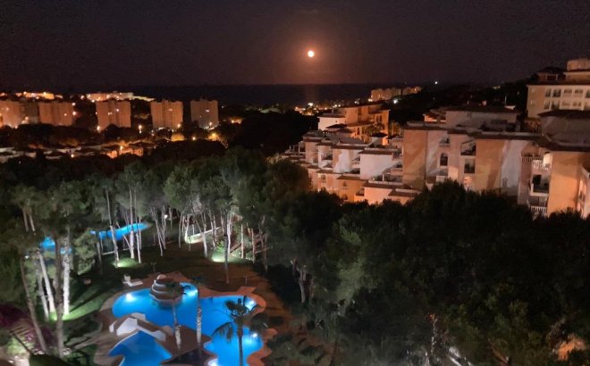 Herverkoop - Appartement -
Orihuela Costa - Altos De Campoamor