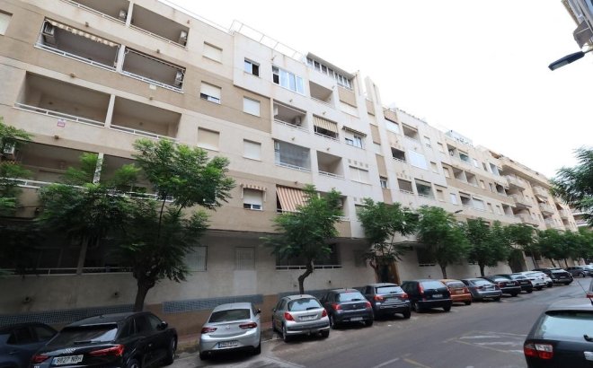 Resale - Apartment -
Torrevieja - Costa Blanca