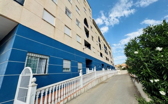 Resale - Apartment -
La Mata - Costa Blanca