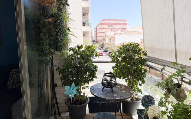 Resale - Apartment -
Torrevieja - Costa Blanca