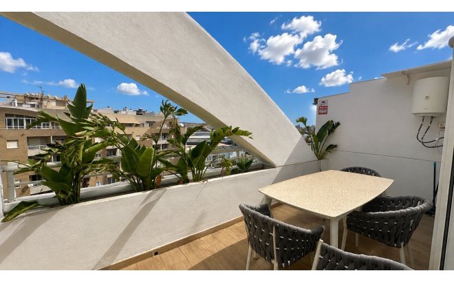 Resale - Apartment -
Torrevieja - Costa Blanca