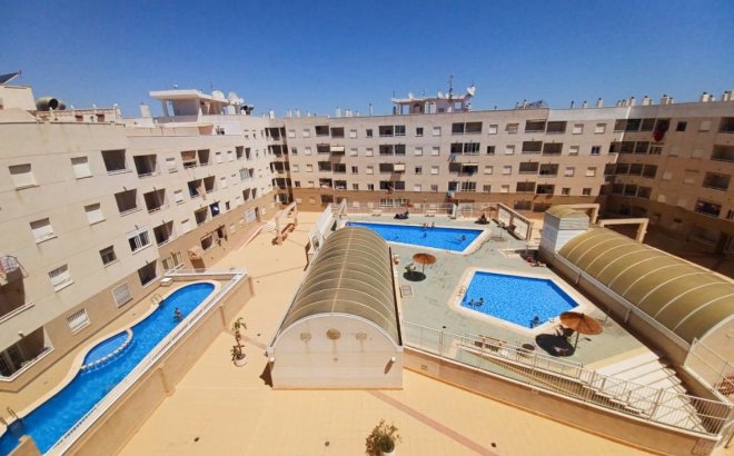 Resale - Apartment -
Torrevieja - Costa Blanca