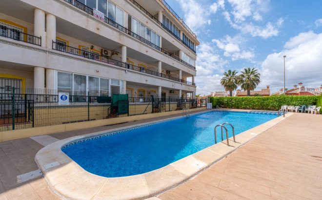 Revente - Appartement -
Playa Flamenca - Costa Blanca