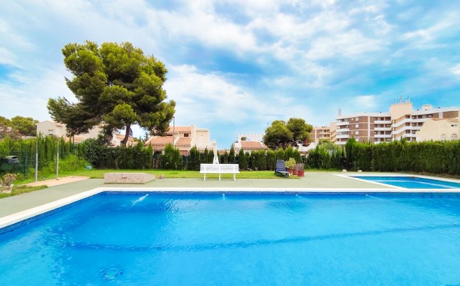 Resale - Apartment -
La Zenia - Costa Blanca