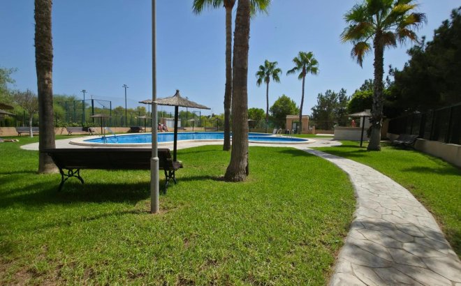 Revente - Bungalow -
Torrevieja - Los Balcones - Los Altos del Edén