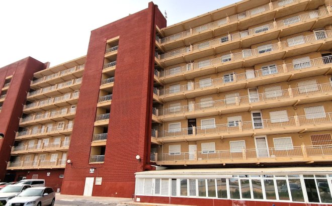 Resale - Apartment -
Torrevieja - Costa Blanca