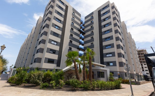 Revente - Appartement -
Torrevieja - Costa Blanca