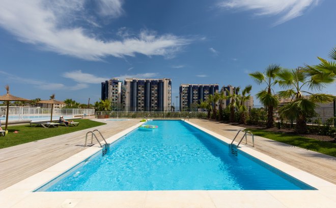 Revente - Appartement -
Torrevieja - Costa Blanca