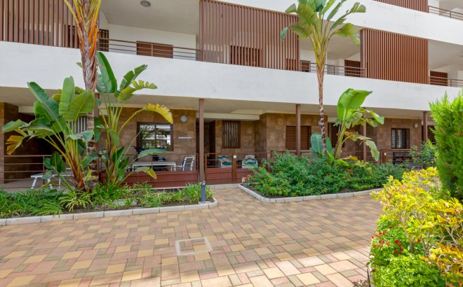 Resale - Apartment -
Cabo Roig - Costa Blanca