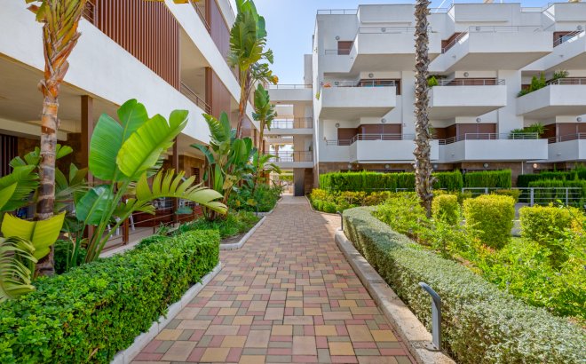 Resale - Apartment -
Cabo Roig - Costa Blanca