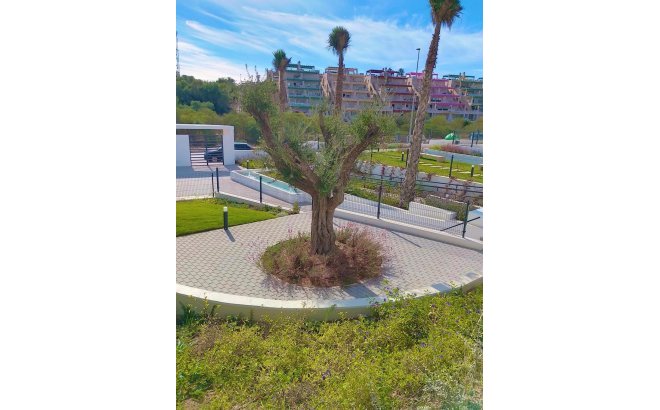 Herverkoop - Appartement -
Villamartin - Costa Blanca