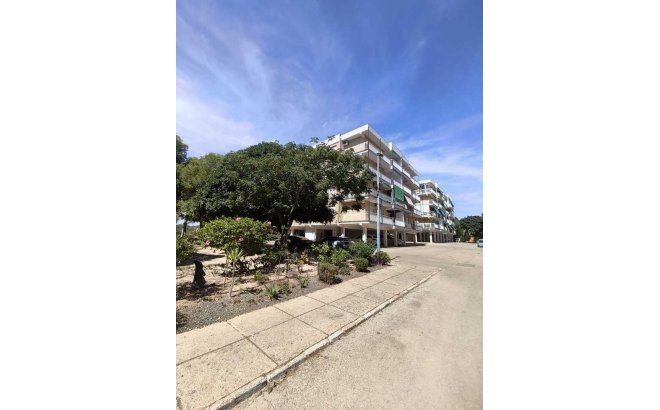 Revente - Apartment Penthouse -
Punta Prima - Costa Blanca