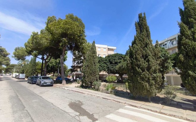 Revente - Apartment Penthouse -
Punta Prima - Costa Blanca
