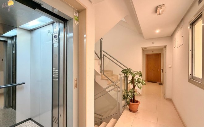 Revente - Appartement -
Torrevieja - PARQUE DE LAS NACIONES