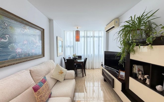 Resale - Apartment -
Torrevieja - Paseo Maritimo