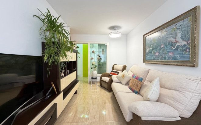 Resale - Apartment -
Torrevieja - Paseo Maritimo