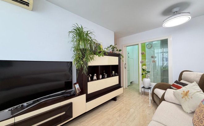 Resale - Apartment -
Torrevieja - Paseo Maritimo