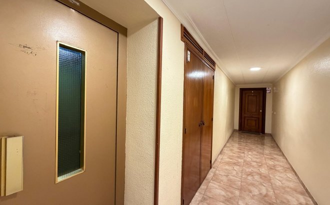 Resale - Apartment -
Torrevieja - Paseo Maritimo
