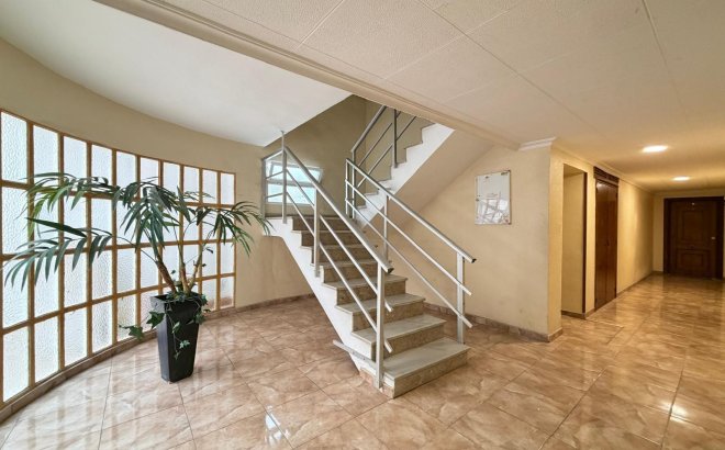 Resale - Apartment -
Torrevieja - Paseo Maritimo