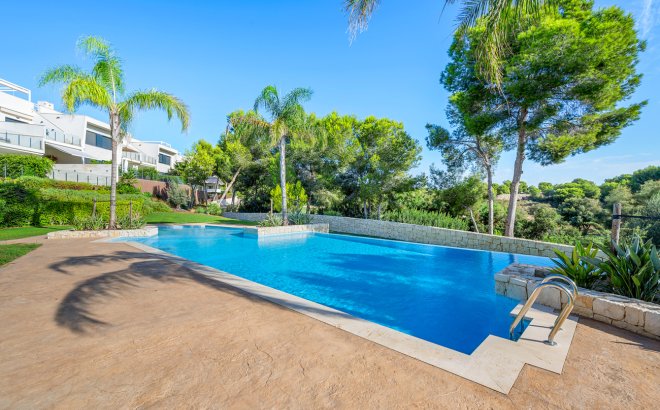 Resale - Apartment -
Pilar de la Horadada - Lo Romero Golf