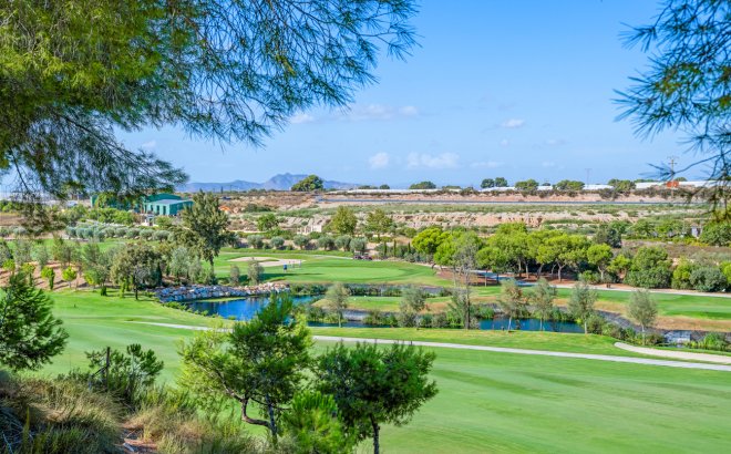 Resale - Apartment -
Pilar de la Horadada - Lo Romero Golf