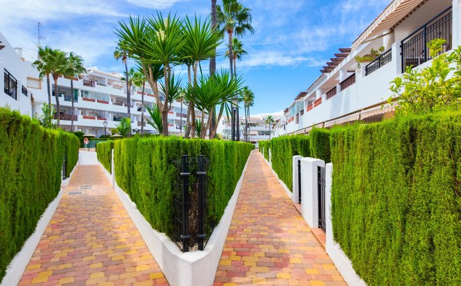 Revente - Appartement -
Orihuela Costa - Costa Blanca