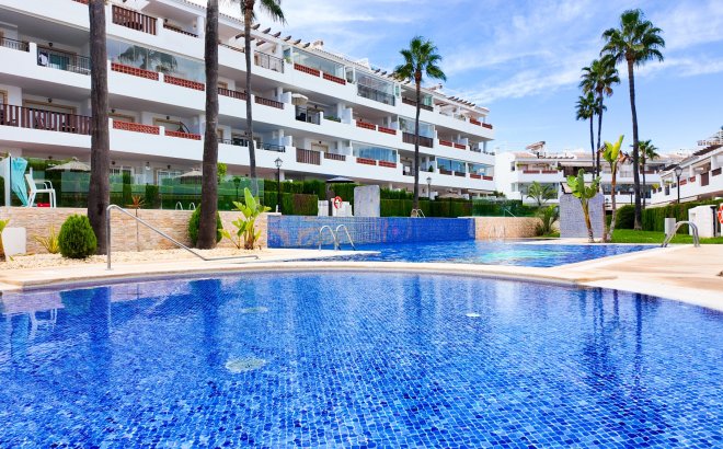 Revente - Appartement -
Orihuela Costa - Costa Blanca