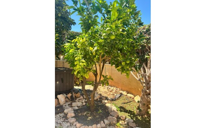 Resale - Villa -
Orihuela Costa - Lomas de Cabo Roig