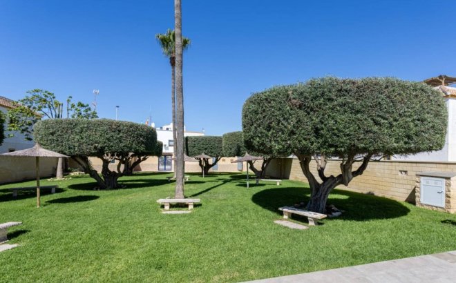 Revente - Appartement -
Torrevieja - Costa Blanca