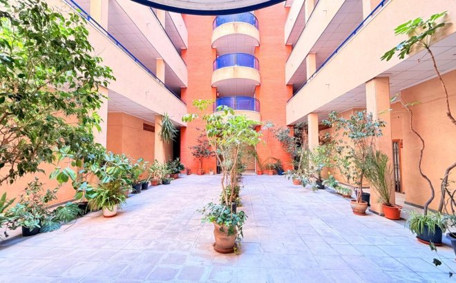 Resale - Apartment -
Torrevieja - Acequion