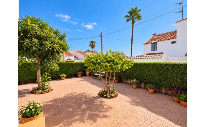 Revente - Town House -
Torrevieja - Costa Blanca